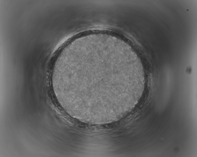 X0000115181208200912091039