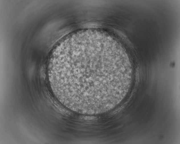 X0000115181209200912091039
