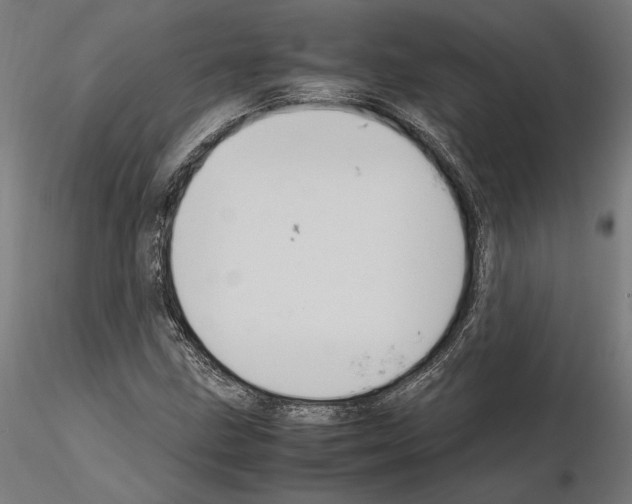 X0000115181211200912091039