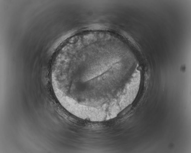 X0000115181213200912091039