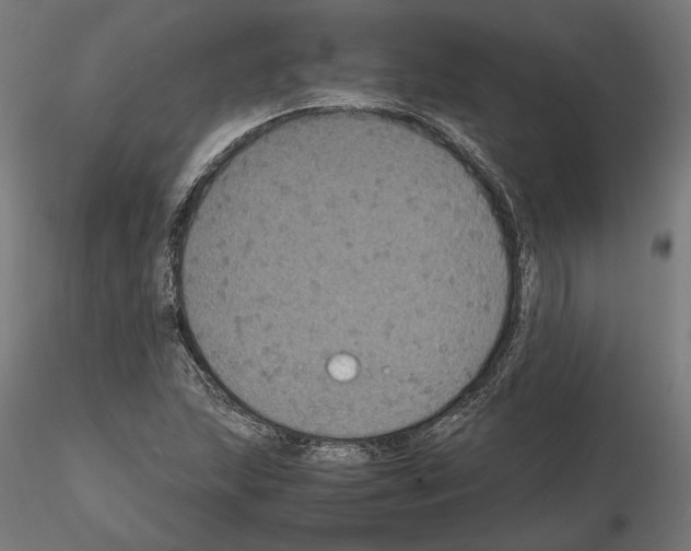 X0000115181215200912091039