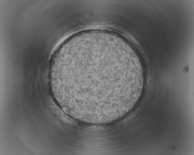X0000115181216200912091039