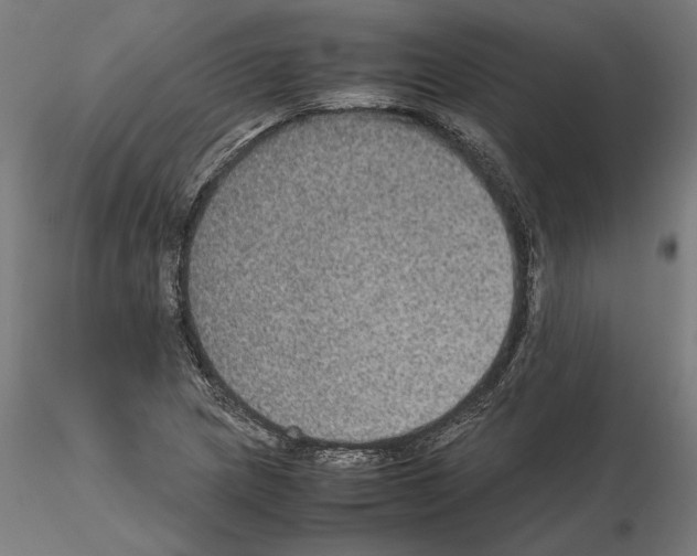X0000115181217200912091039
