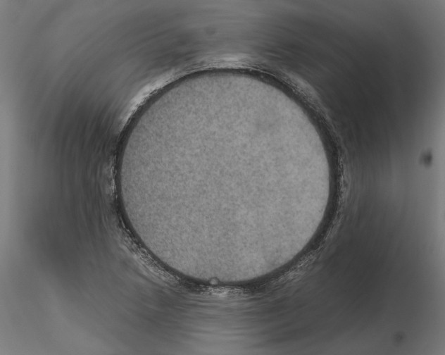 X0000115181218200912091039