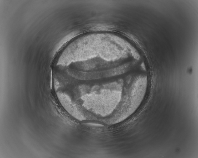 X0000115181219200912091039