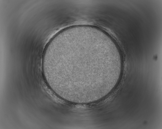 X0000115181220200912091039