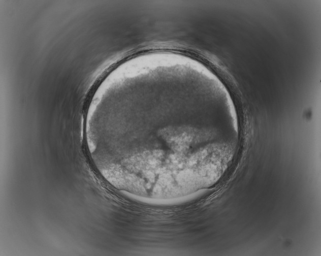 X0000115181221200912091039