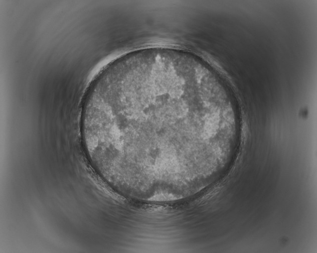 X0000115181222200912091039