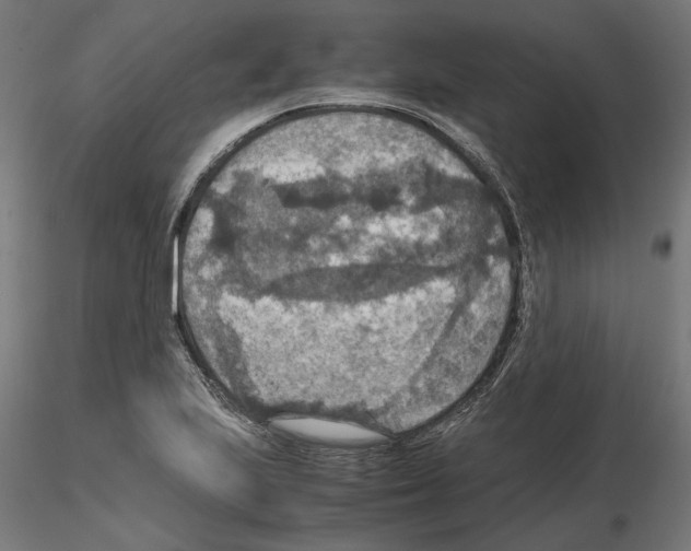 X0000115181223200912091039