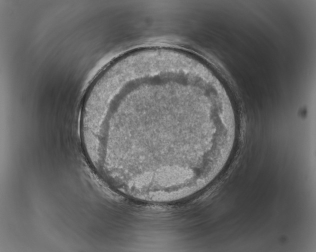 X0000115181224200912091039