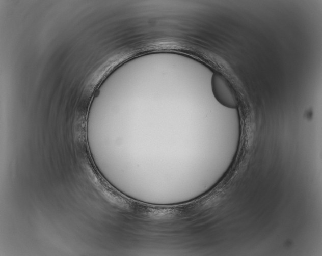 X0000115181225200912091039