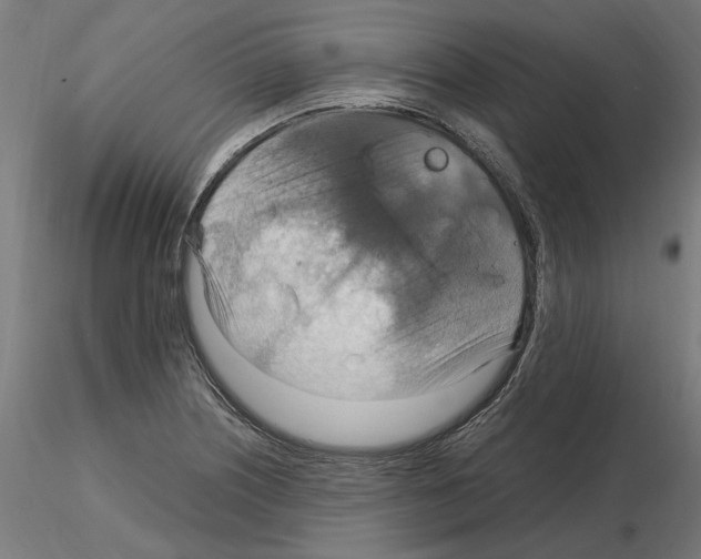 X0000115181226200912091039