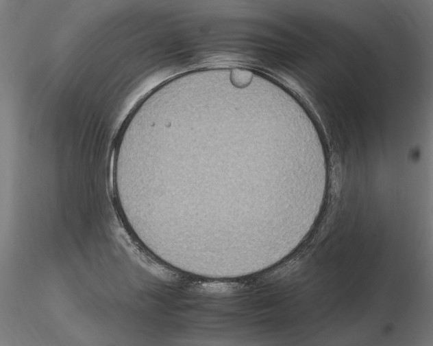 X0000115181227200912091039