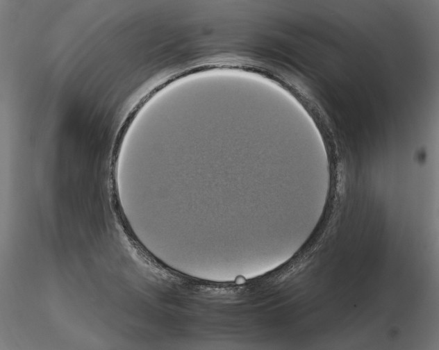 X0000115181229200912091039