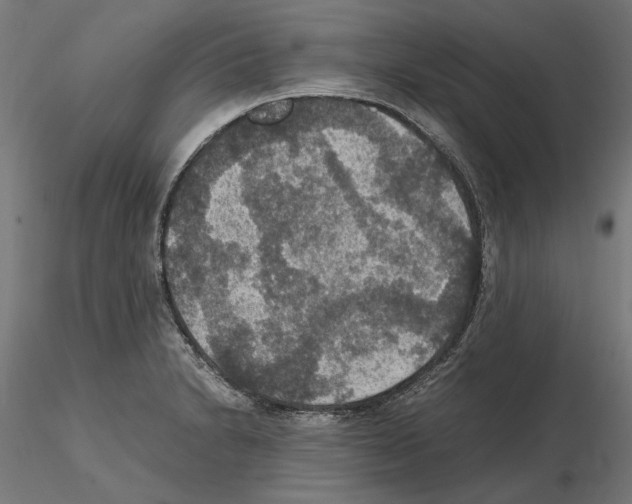 X0000115181230200912091039