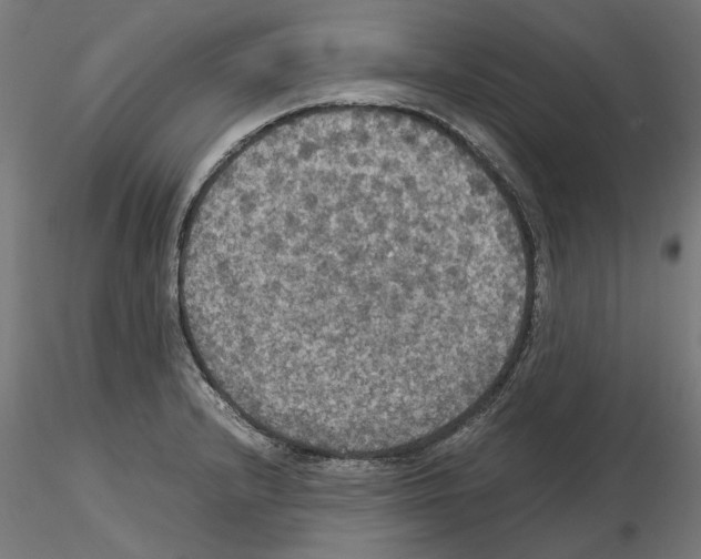 X0000115181232200912091039