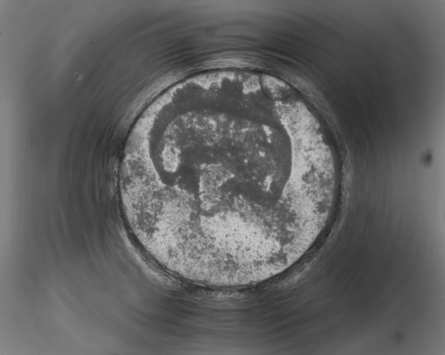 X0000115181233200912091039