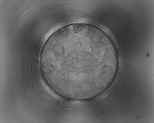 X0000115181234200912091039