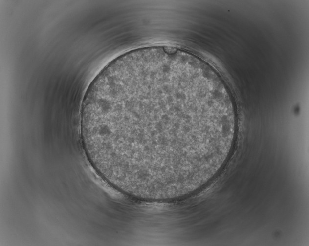 X0000115181236200912091039