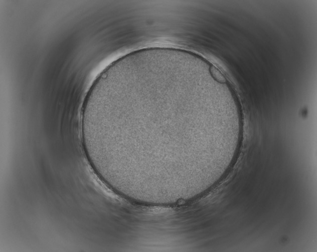 X0000115181238200912091039