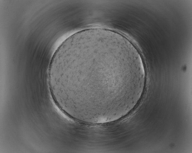 X0000115181239200912091039