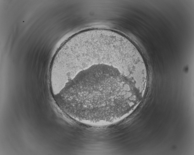 X0000115181240200912091039