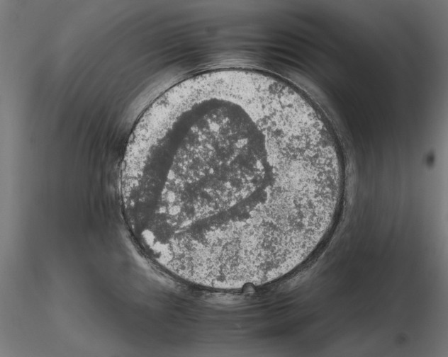 X0000115181241200912091039