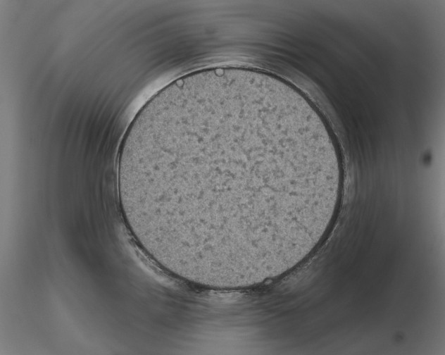 X0000115181242200912091039
