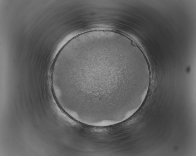 X0000115181243200912091039