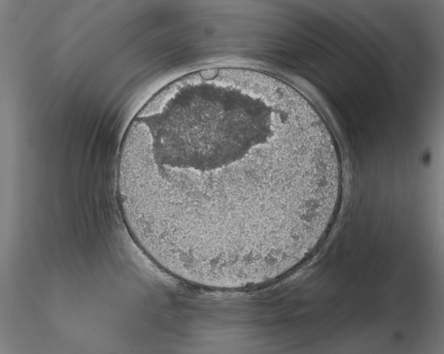 X0000115181244200912091039