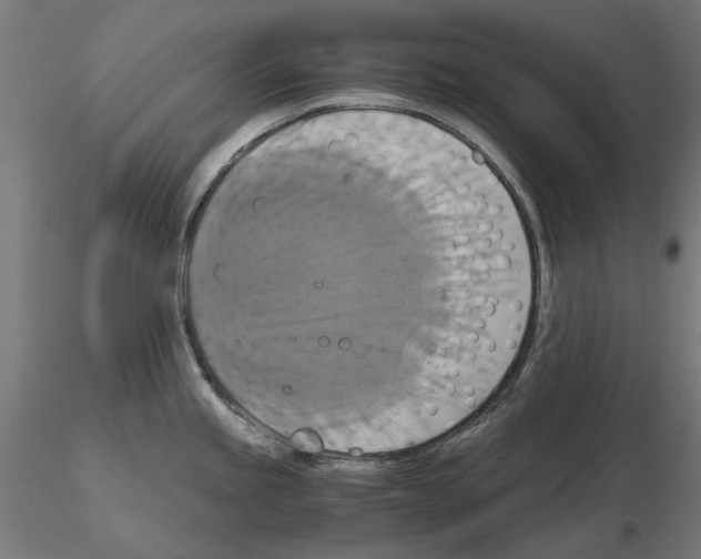 X0000115181245200912091039