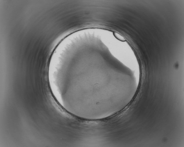 X0000115181246200912091039