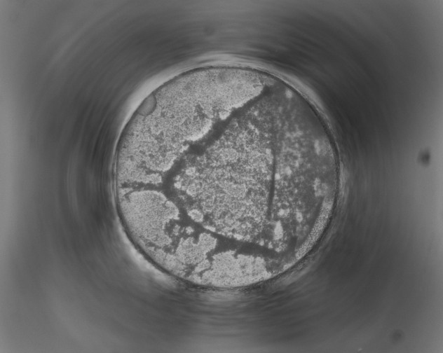 X0000115181247200912091039