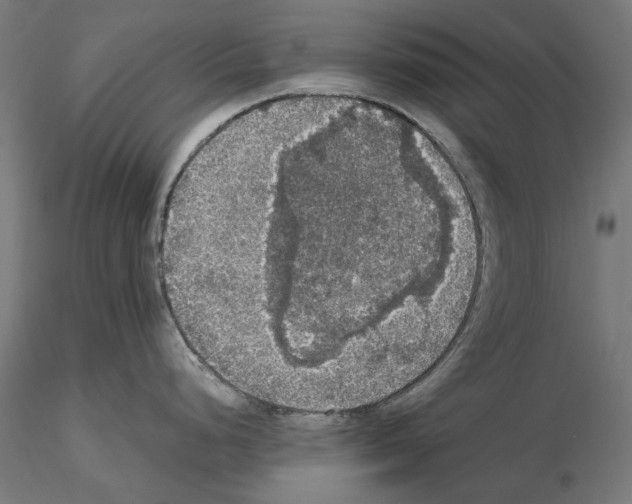 X0000115181248200912091039