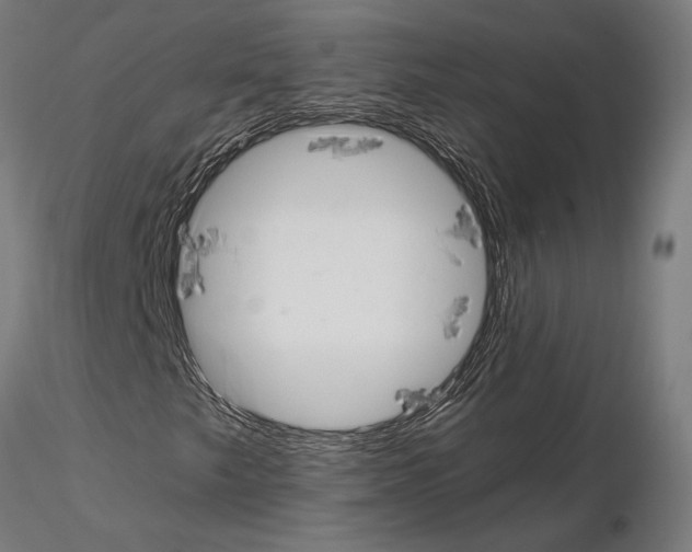 X0000115181249200912091039