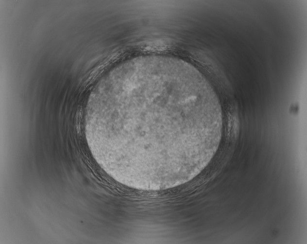 X0000115181250200912091039