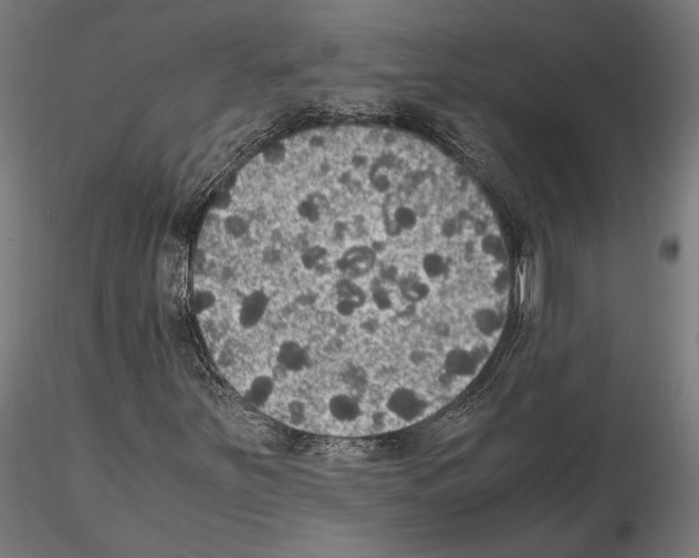 X0000115181251200912091039