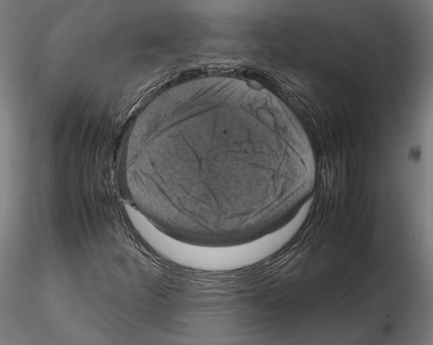 X0000115181252200912091039