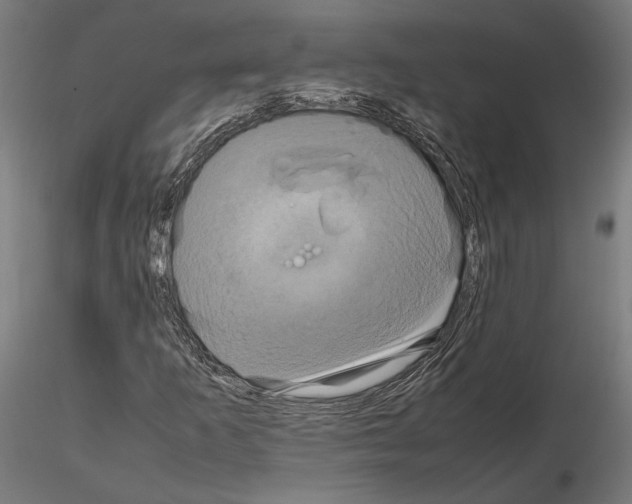 X0000115181253200912091039