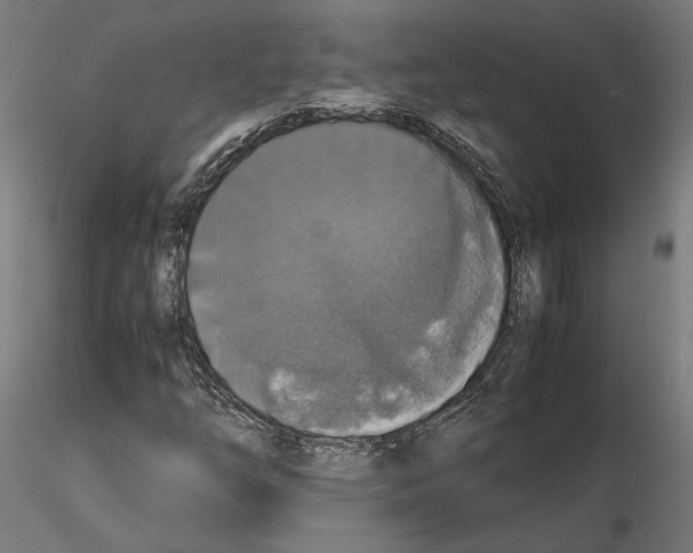 X0000115181254200912091039