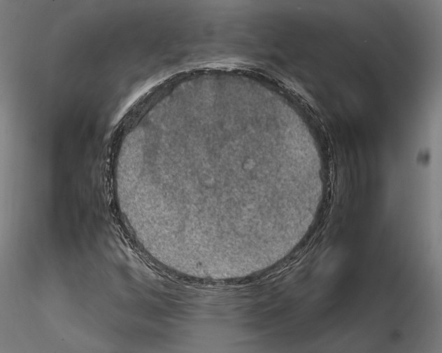 X0000115181256200912091039