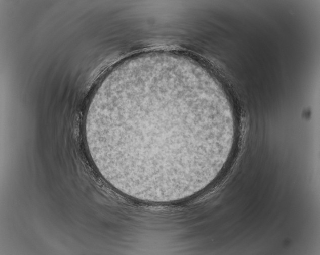 X0000115181257200912091038