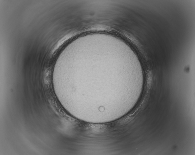 X0000115181258200912091038