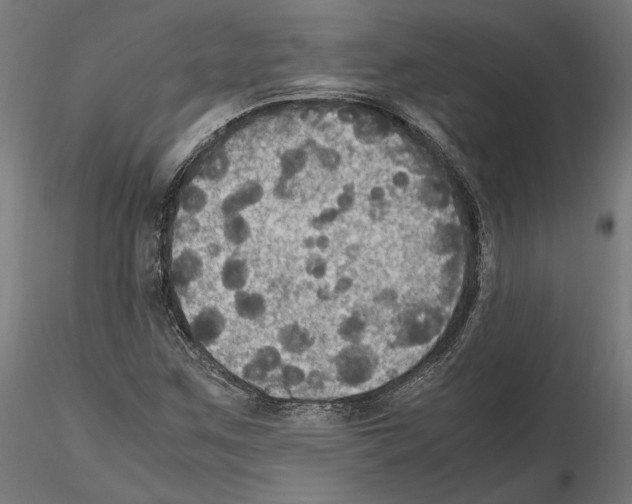 X0000115181259200912091038