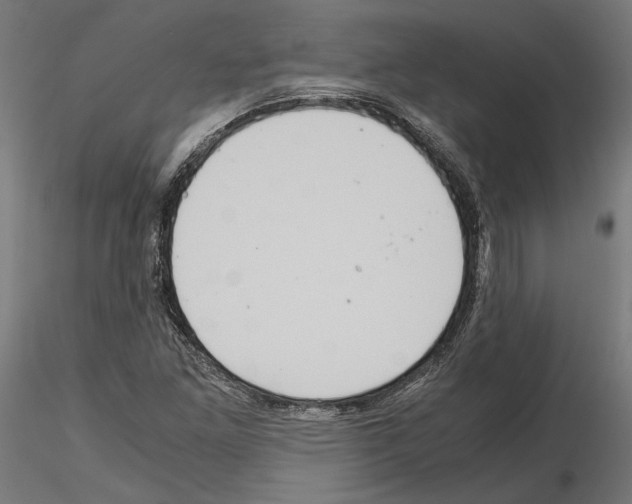 X0000115181261200912091038