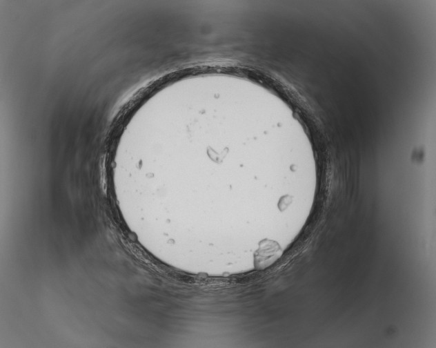 X0000115181262200912091038