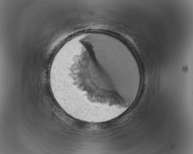X0000115181263200912091038