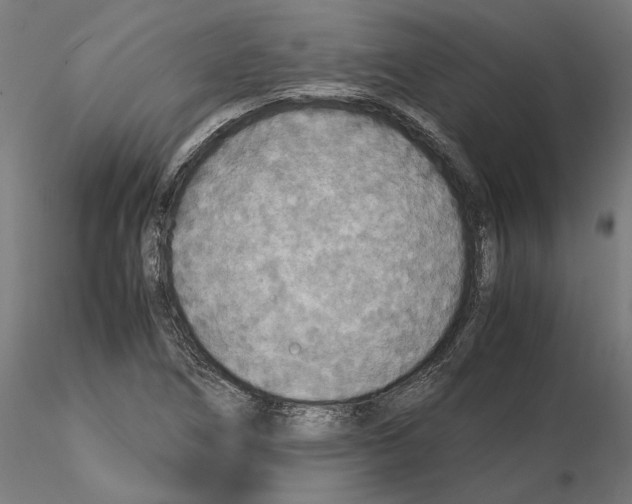 X0000115181266200912091038
