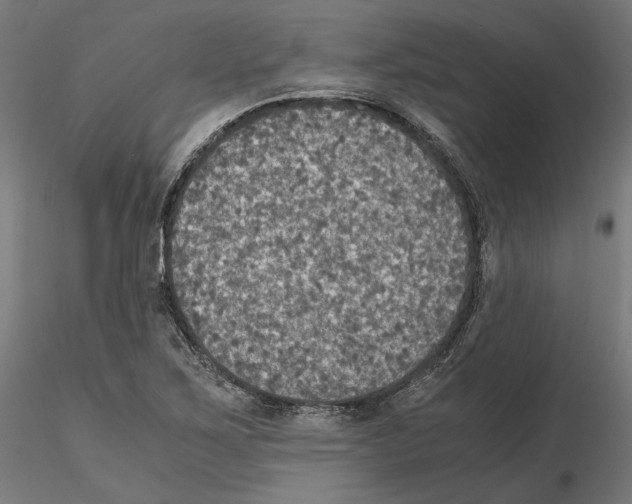 X0000115181267200912091038