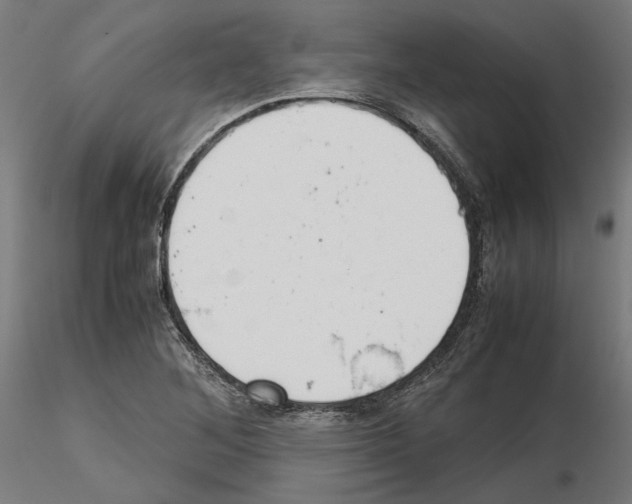 X0000115181268200912091038